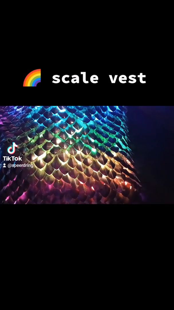 Scale vest